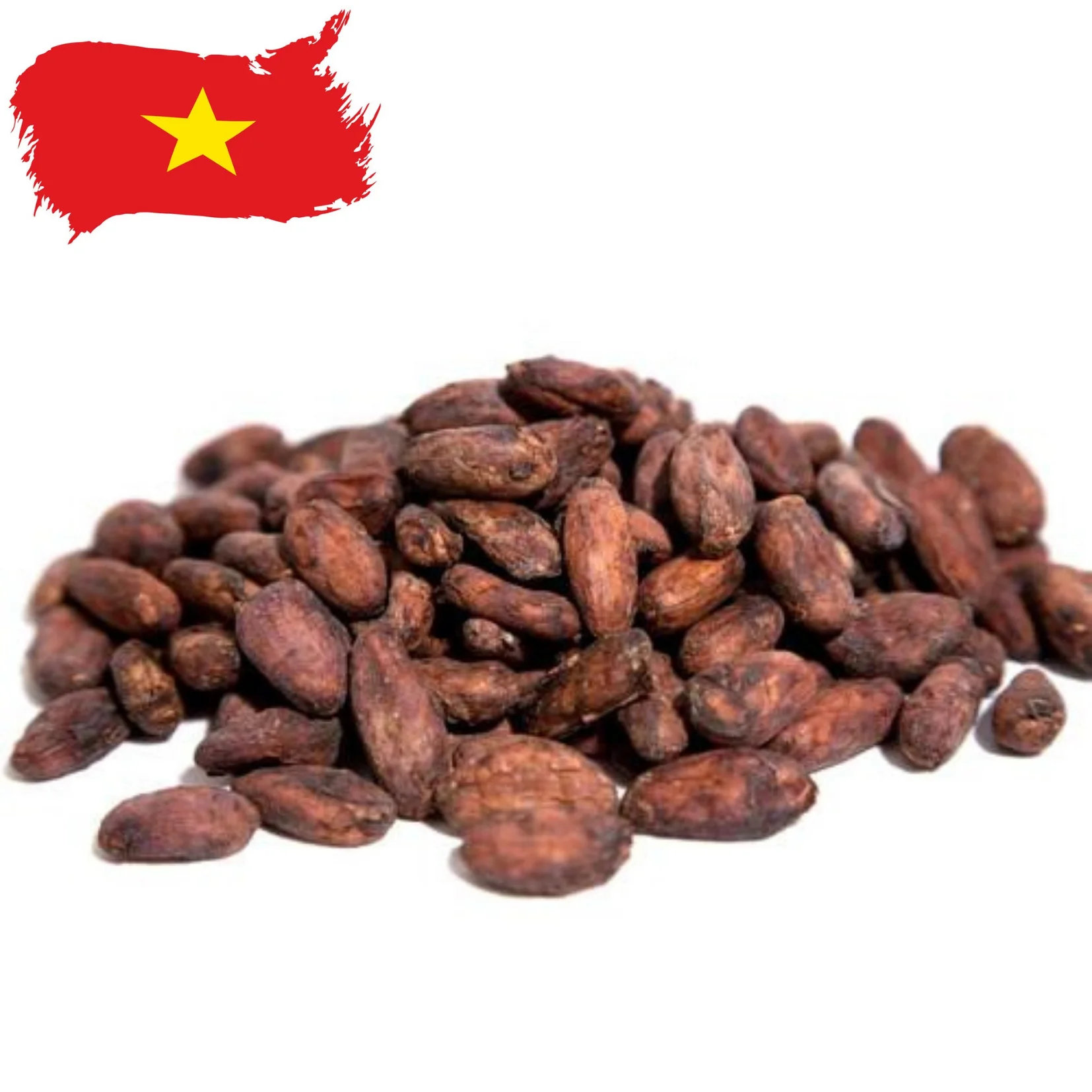 High Quality Grade Sun Dried Cacao Beans From Mekong Vietnam Buy