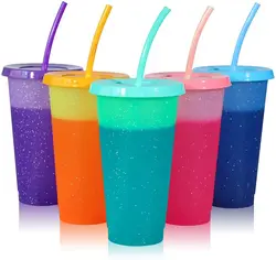 5PCS/Set 16oz BPA FREE Cold water cup Plastic tumbler cold color changing cup with Straw