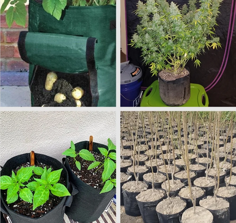 grow bag