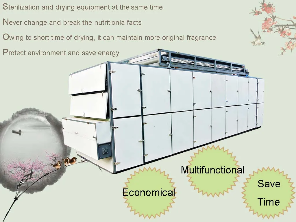 1546834659-zCjKUloMVp .jpg