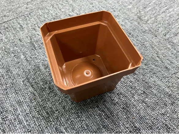 paste-pic-dp_uuid_tjzz6