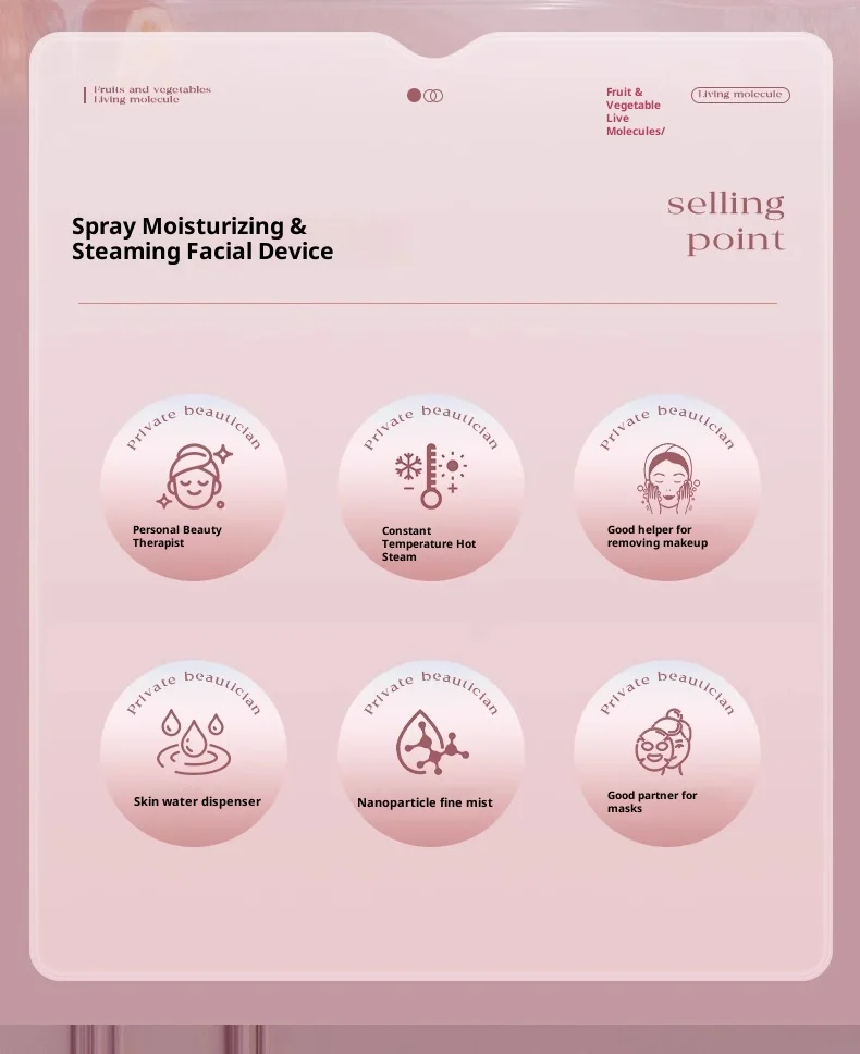 Portable hydrating facial steamer