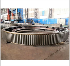 spur ring gear
