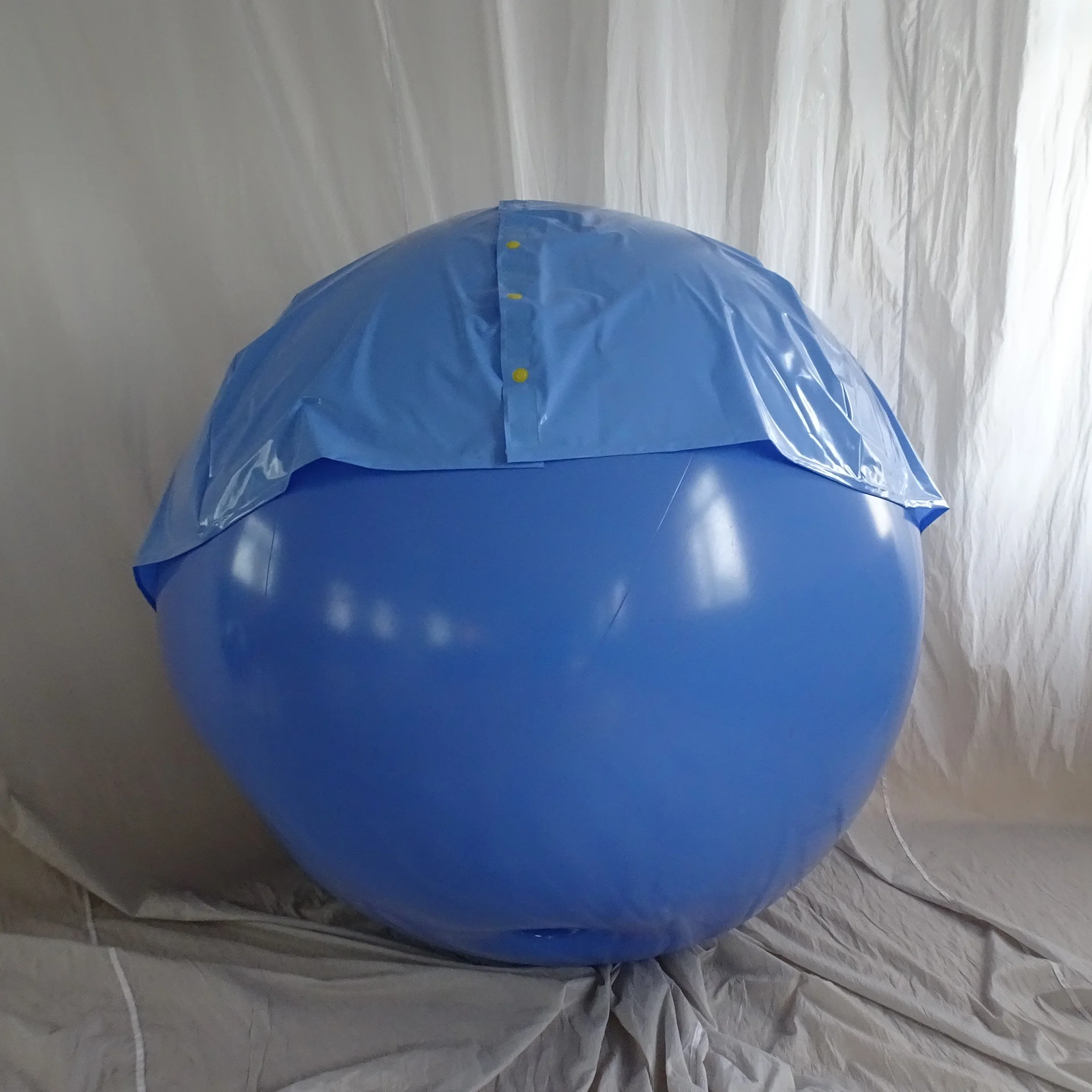 Customized Size Funny Inflatable Pvc Ball Suit Game Role Playing Inflatable Blueberry Suit Buy