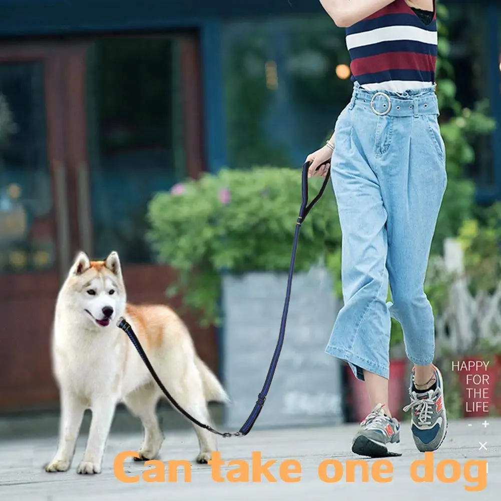 Reflective Nylon Dual-use Bungee Walking Training Leash with Soft Padded Handle for Two Medium Large Dogs