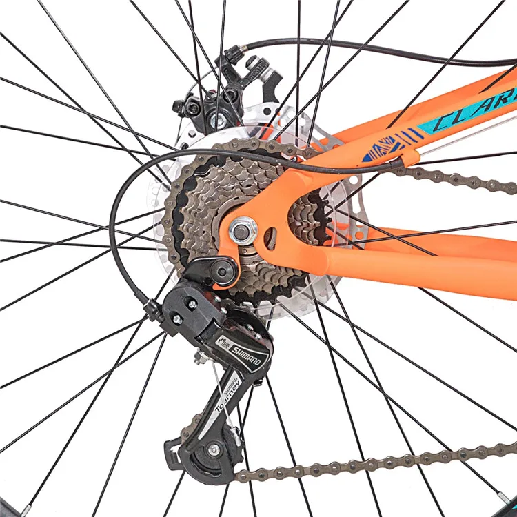 mtb (3).jpg