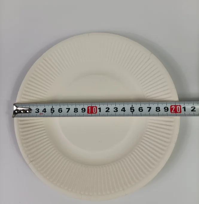Disposable Bagasse Costeffective Degradable Compostable 8 Inch Plate