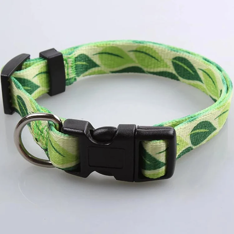 Pet Collar-42