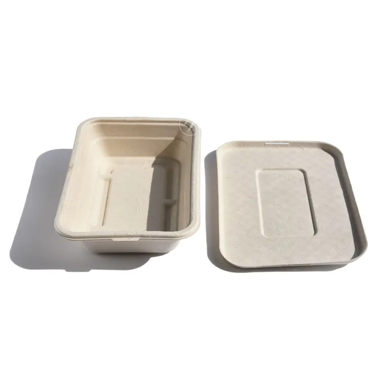 Hot selling no leaking bagasse disposable biodegradable food container