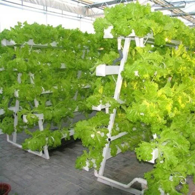 Venta al por mayor sistema hidropónico nft-Compre online los mejores