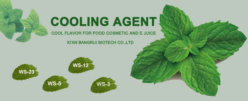 Cooling ointment Long lasting cooling mint agent ws-23 for wet tissue