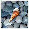 Wholesale hot-selling DIY custom 5D seashells round diamond paintings household interior decoration paintings