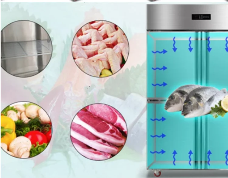 Oem Low Noisy Vertical 4 Doors Freezer Stainless Steel Industrial