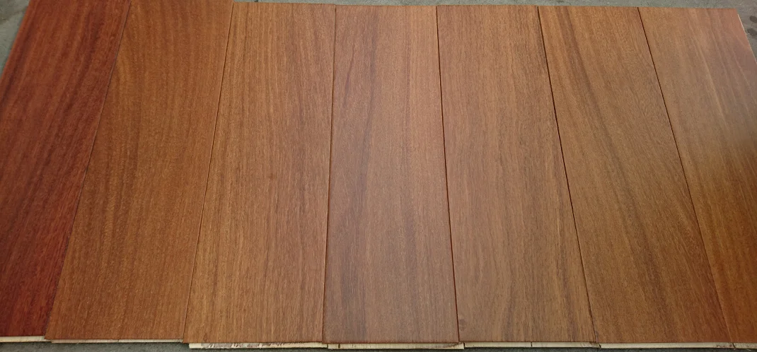1575095228(1).png