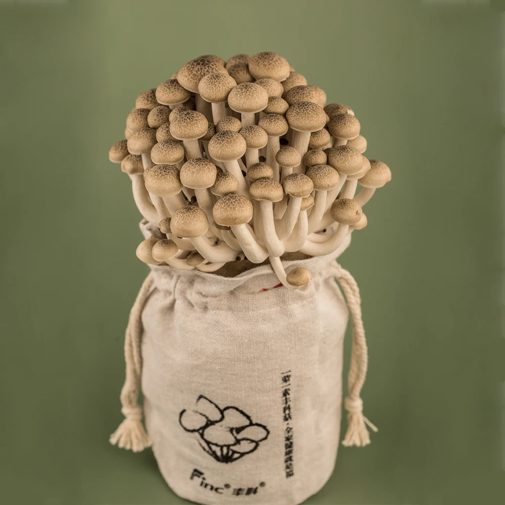 hot sale chinese 3kg shimeji fresh mushrooms - buy fresh mushroo