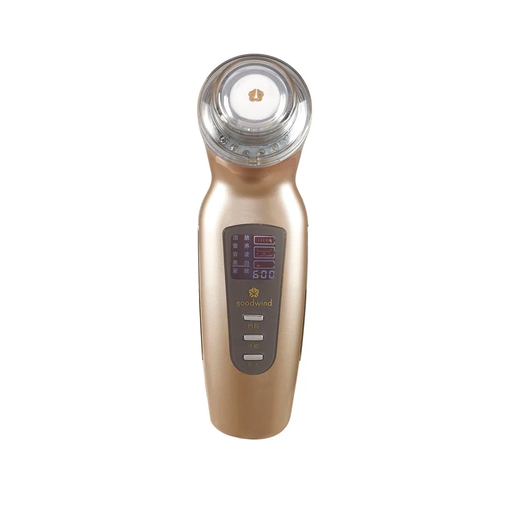 Goodwind Cm2a Medical Aesthetic Galvanic Machine Beauty Equipment