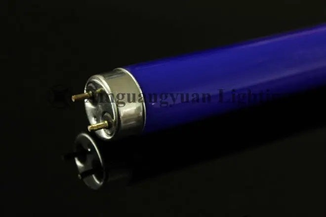 T8 BLUE