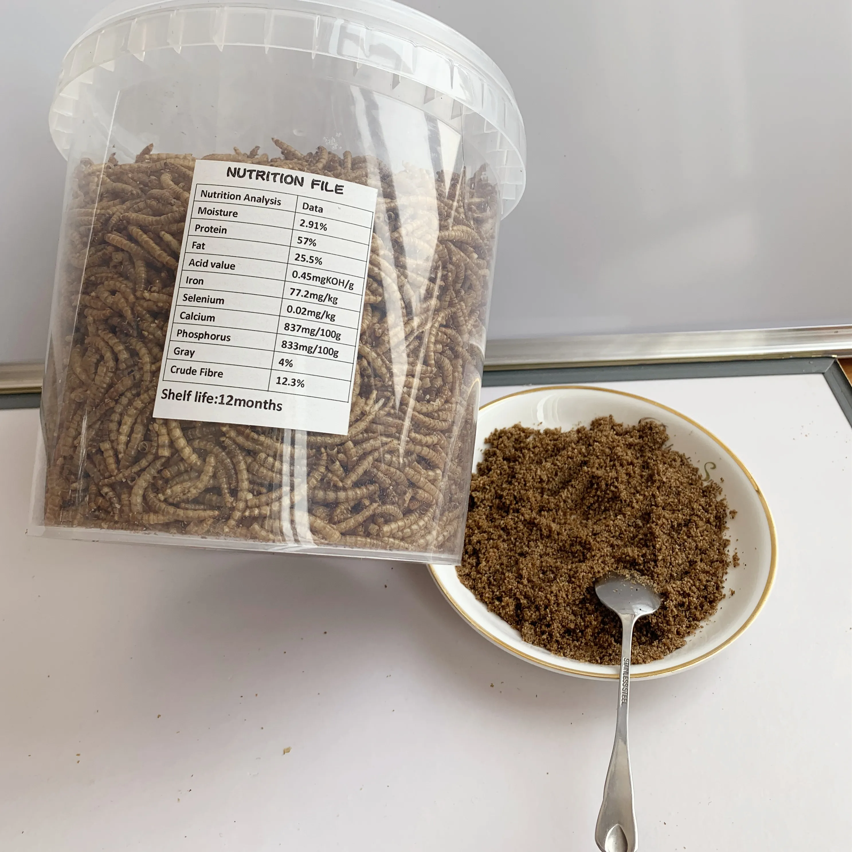 download feeding mealworms to birds