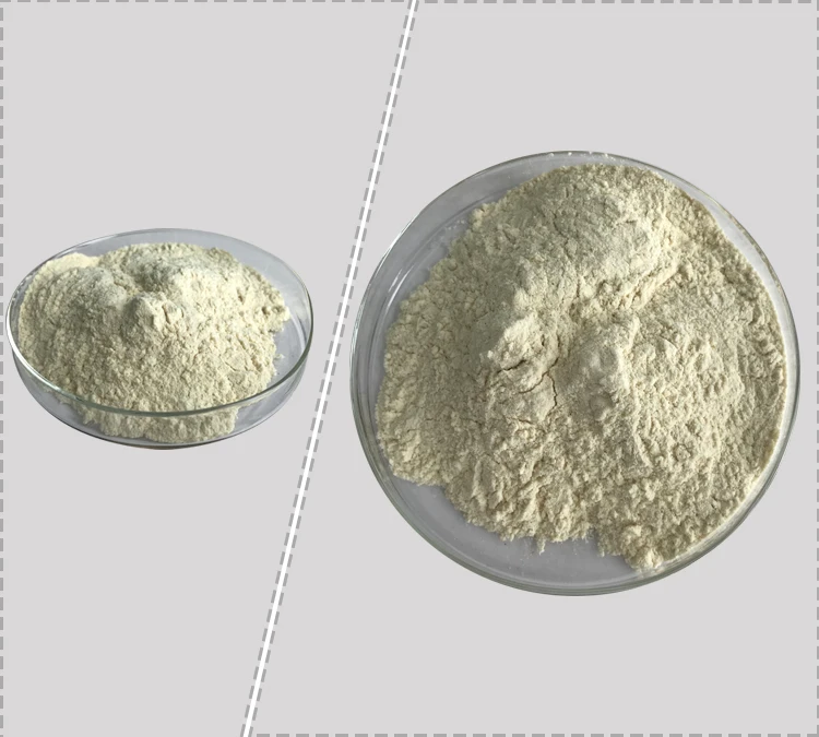 Health Care Research Use Lactobacillus Crispatus - Buy Lactobacillus ...