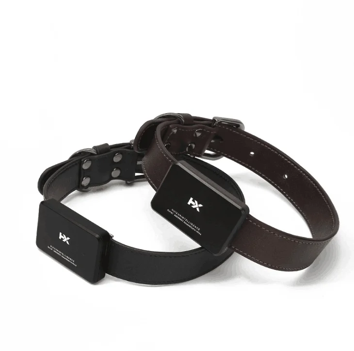 Gps Leather Dog Training Collar Hunting Dog Tracking Collar Waterproof