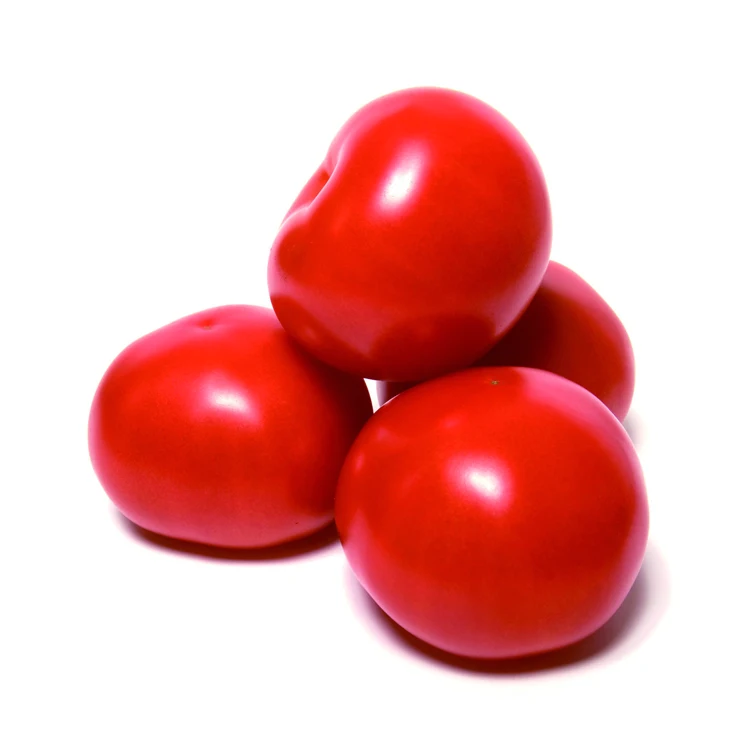 china high quality red tomato big tomatoes for sale fresh