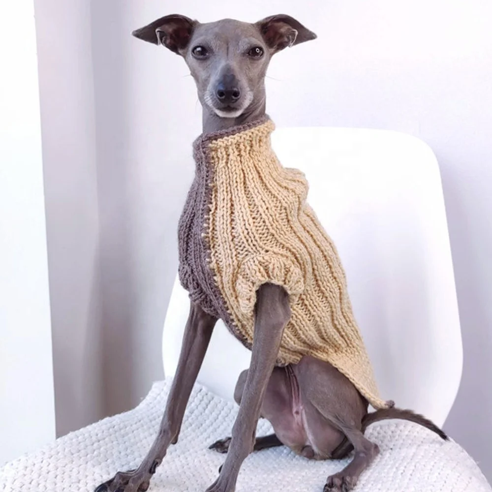 Italian greyhound supplies sales