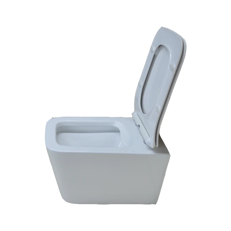 European CE certificated rectangle pan rimless wall hung toilet