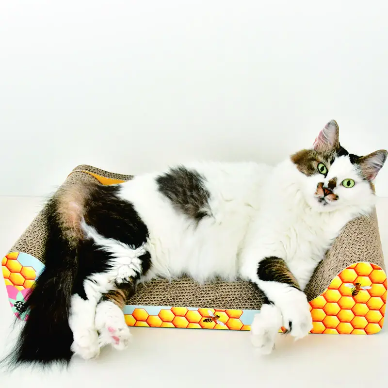 Cat Scratch Board с шариками. Pet 2022