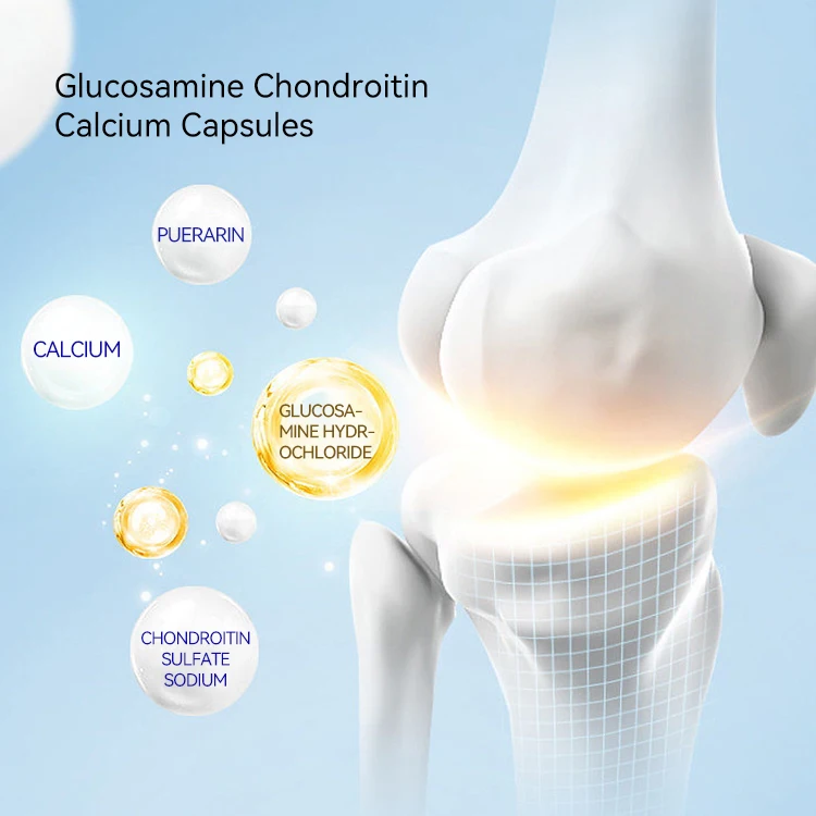 Glucosamine Bulk Sales Glucosamine Chondroitin Sulfate Capsules High Quality Pure Glucosamine