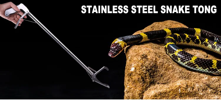 snake-tong_01.jpg