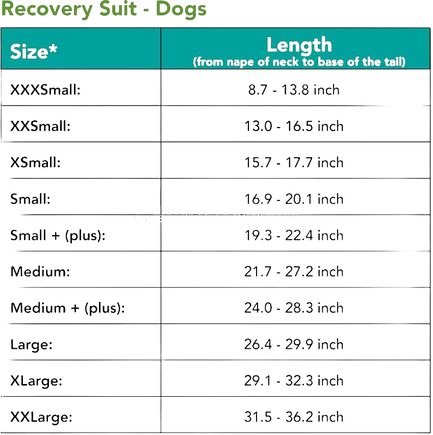 Professional Pet Dog Surgery Recovery Suit Soft Comfortable Breathable 