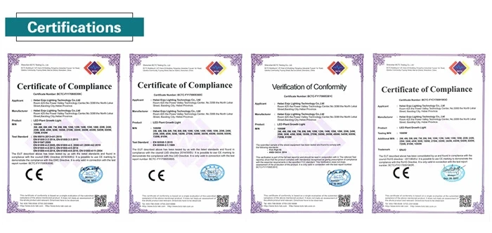 certificates.jpg
