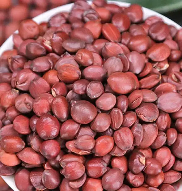 Spina Date Seed raw.jpg