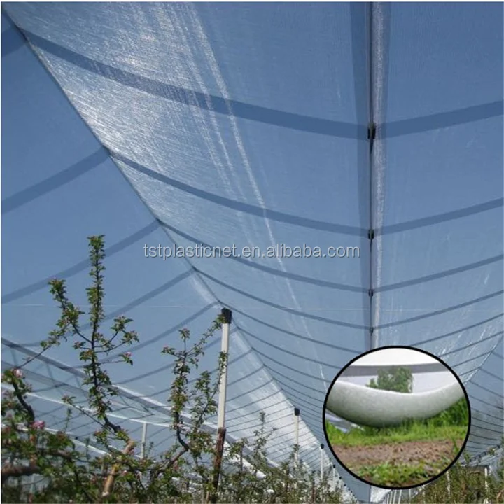 Fruit/crops Protection Net From Hail Damage For Gardens Hdpe Hail Guard ...