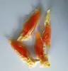 CAT TREAT TUNA IN FISH SHAPE