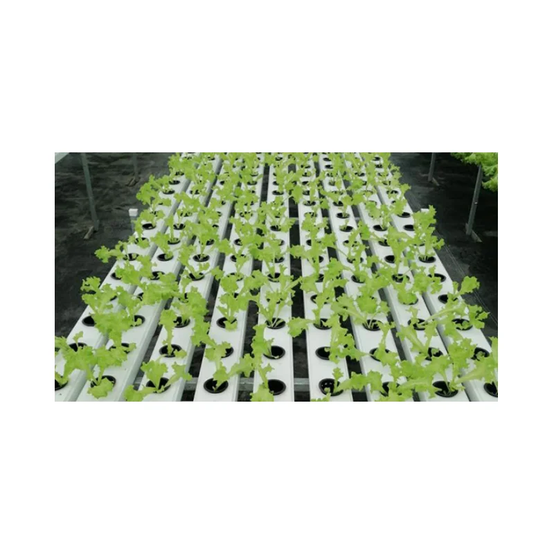 Best Quality Watersaving Food Grade Pvc Pipe Nft Channel Hydroponic System For Sale Buy Pvc