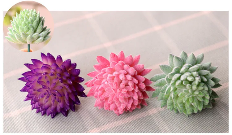 succulents (30).jpg