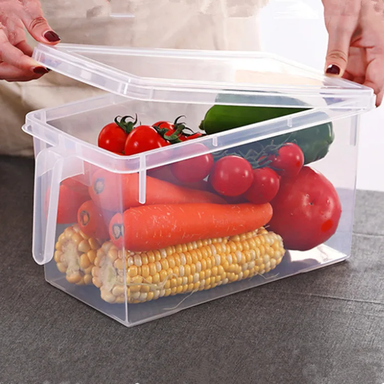 Ecofriendly Kitchen Case Large Capacity Food Storage Container With