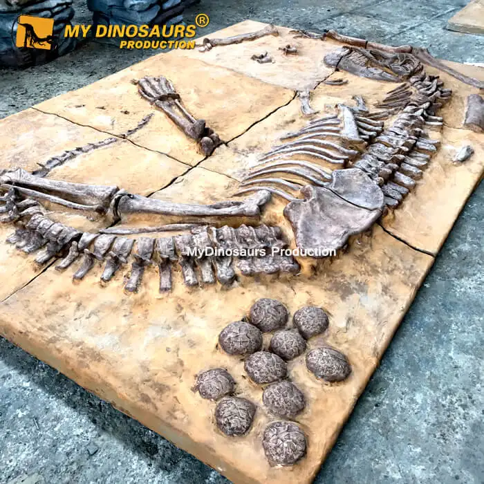 Dinosaur fossil 1.jpg