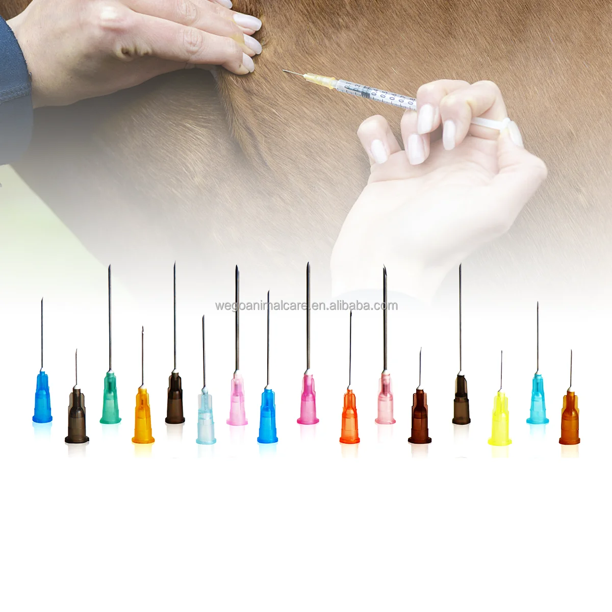 Plastic Syringe Veterinary Injection Gun Feeding Bird Needle Gavage