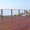 Factory Direct Natural Color Hardwood Outdoor IPE Floor Decking