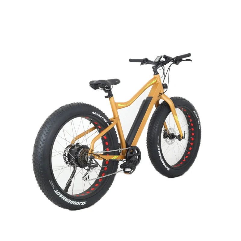 electric bike