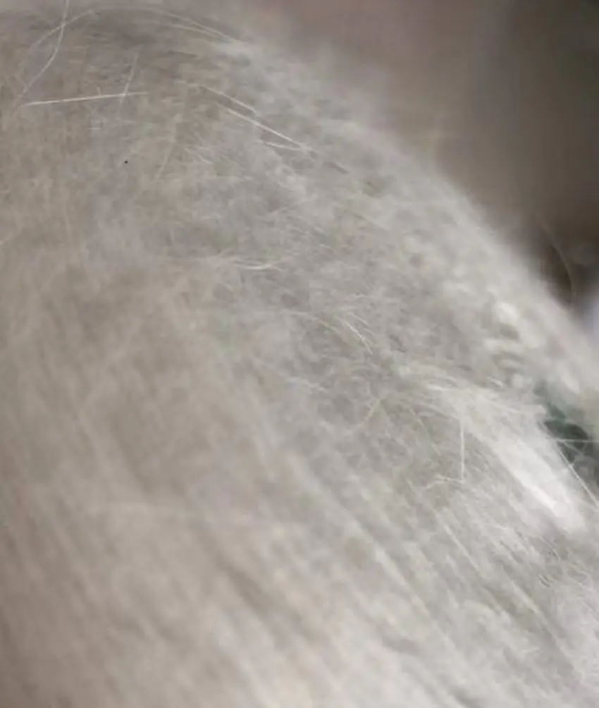 angora blended yarn 2.jpg