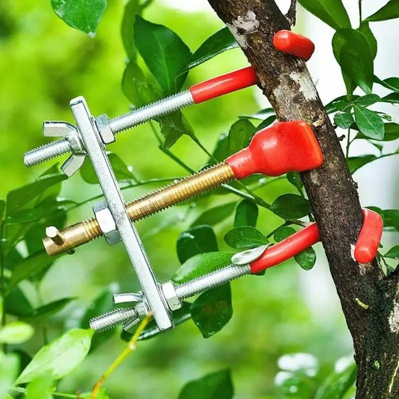 Trees Branch Modulator Trunk Lopper Regulator Repair Grafting Bender Tool 