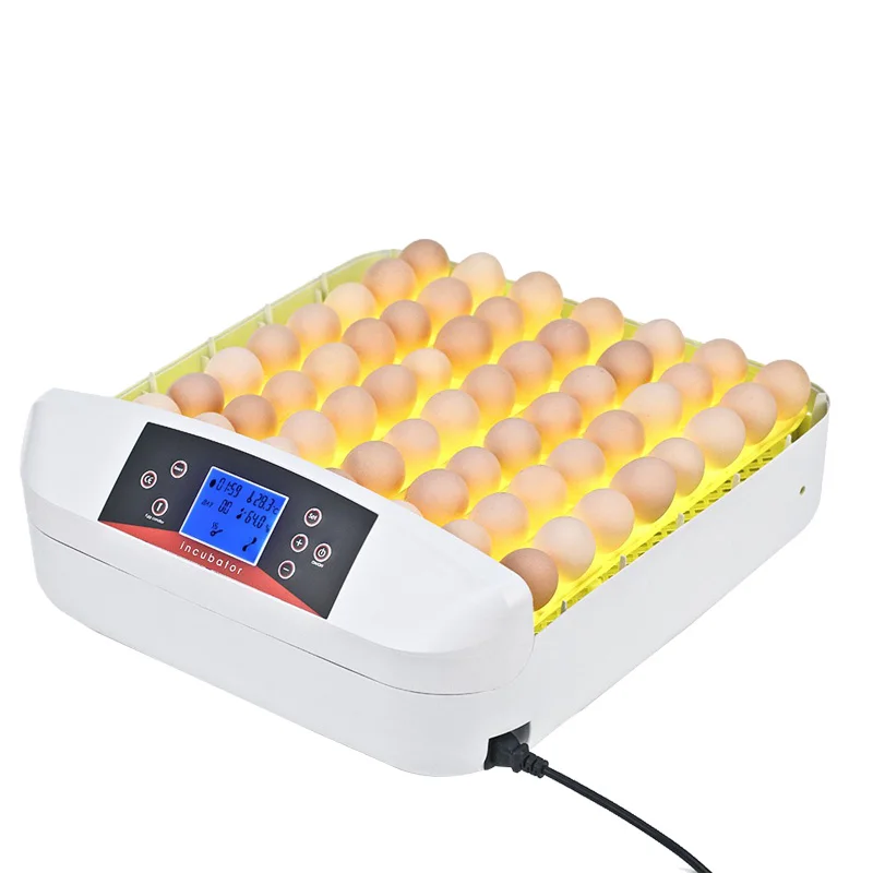 Hhd Full Automatic With Egg Testing Function Egg Candling ...