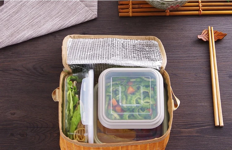 disposable insulated lunch bag