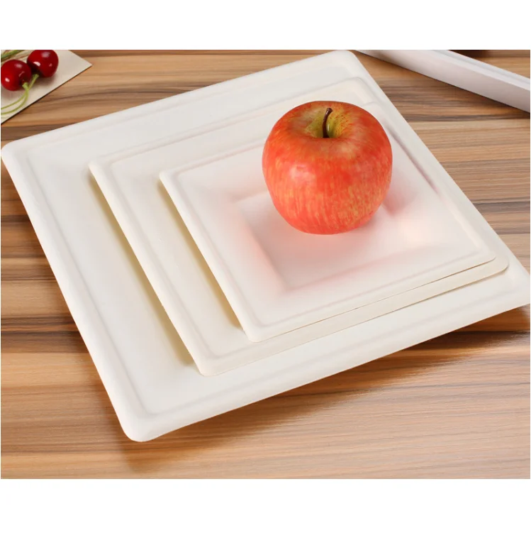 6+8+10 sugarcane plate