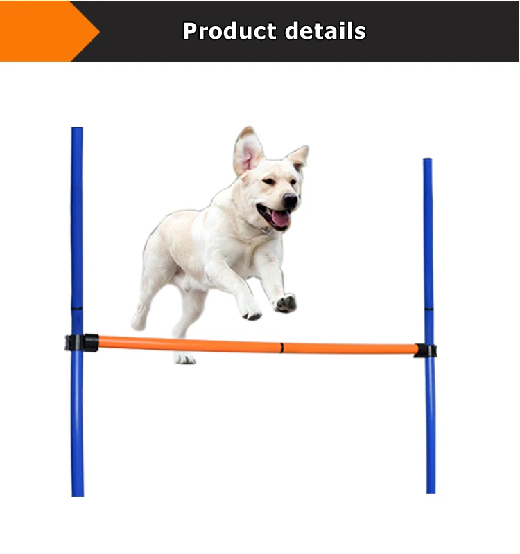 dog jumping equipment