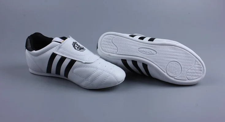 taekwondo shoes (2).png