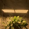 Kingbrite 240W samsung lm301h 288v3 quantum board led horticulture grow lights